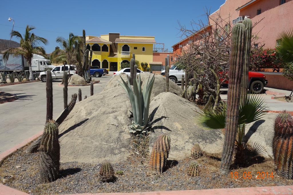 Oasis Los Cabos Hotel Cabo San Lucas Exterior photo